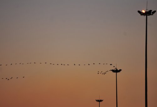 24102014-131416-05072010-05072010mca2944