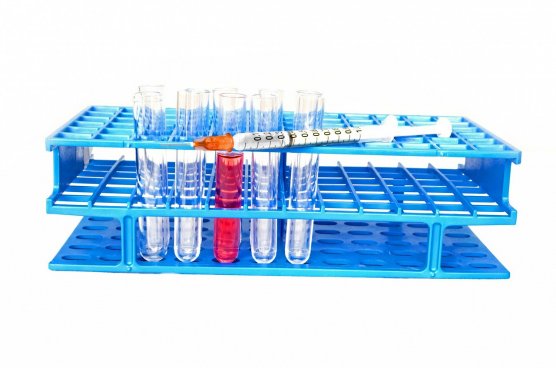Portal Anvisa