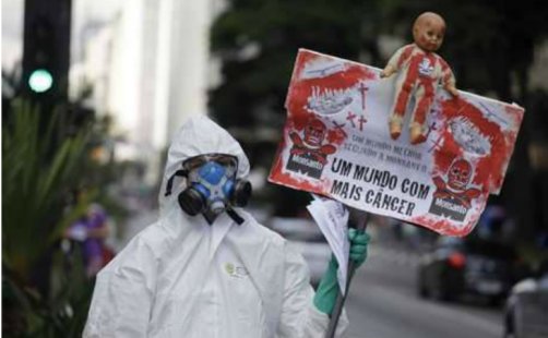 Manifestante protesta contra Monsanto