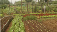 13082014-115823-bol3755a