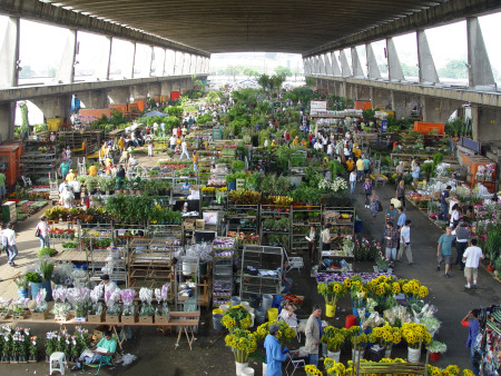 25052015-094233-feira-de-flores-ceagesp