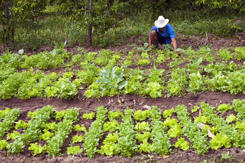 30052014-115408-agroecologia